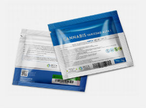 Uruguay initiates a state-controlled marijuana dispensary regime