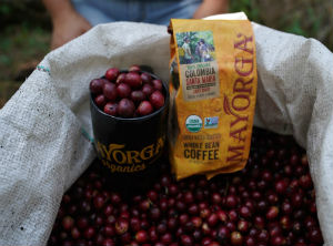 Nicaraguan coffee continues to shine over the world