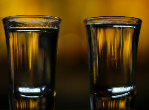 Aguascalientes producers look for Mezcal Appellation of Origin