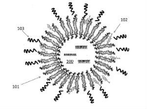 Method for Nanoliposomal c-MYC-siRNA Inhibits In Vivo Tumor Growth of Cisplatin-Resistant Ovarian Cancer