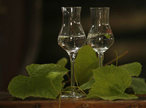 Peru bolsters protection of Pisco appellation of origin recognizing its notoriety