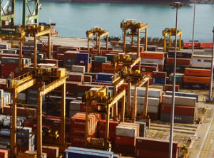 First campaign against Customs crimes