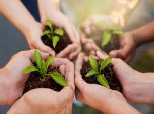 Local startup receives federal funds for agricultural technology