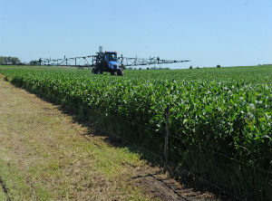 Uruguayan exports of goods increased in 2019