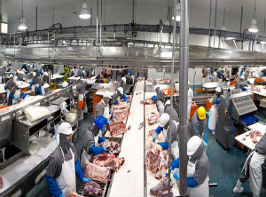 Meat industry leading company installed in Nicaragua