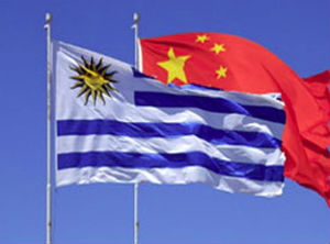 New Agricultural Office in China