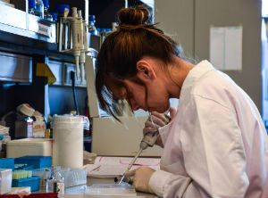 Uruguayan institutions developed diagnostic tests for the new coronavirus