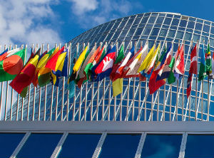 Paraguay elected to WIPO’s Coordination Committee