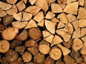 Exports from the forest complex accounted for 24% of total exports of goods