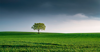 Exploring the benefits of the green economy with the UK