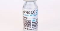 Argentina Locally Produced COVID-19 Vaccine Is Approved