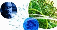 El Salvador Matches Expectations in Global Innovation Index