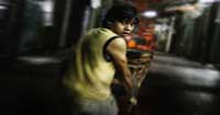 7 Cajas directors fighting against piracy