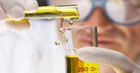 New Local Patent granted by the Intellectual Property Office in Paraguay