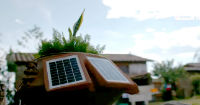 Rewarding environmental innovations to support green patents