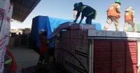 Bolivia and Chile Forge Alliance to Eradicate Smuggling at Its Roots