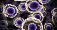 Costa Rica continues to thrive on the life sciences industry