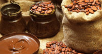 Cocoa and traceability, together for the industry of Nicaragua