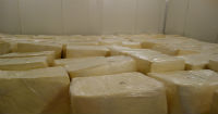Diversifying cheese production in Nicaragua