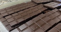 Reactivation of the cacao industry