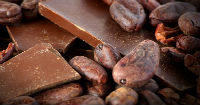 Honduras cocoa reactivation plan enters third phase