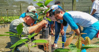 Young farmers from Nicaragua, on the shelves of Belgium