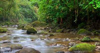 Costa Rica leads as a global benchmark for value-added sustainability