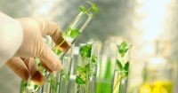 Peru Launches A Digital Service For Simplifying Patent and Plant Variety Annual Payments