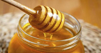 New chapter to develop a honey collective mark in Bolivia