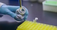 Argentina's Patent Office Updates Guidelines to Support Biotechnology Innovation
