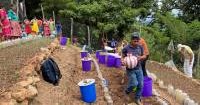 Implementation of 'Rain Tree' Patent Boosts Crop Resilience in Guatemala's Dry Corridor  