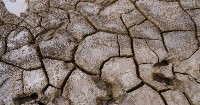 UN recognizes Honduran pioneering initiative that is restoring the natural world