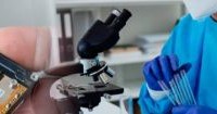 Mexico Seeks Greater Role in Global Patent System with PCT Authority Nomination