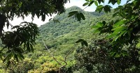 Conservation Agreement Between U.S. and El Salvador