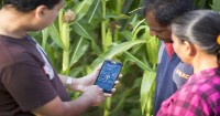UN Food and Agriculture Organization cooperates with Nicaragua