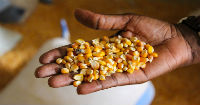 Digital technology for food security and commerce
