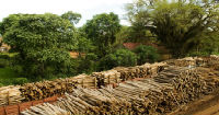 Legal reform in talks for a sustainable forest development
