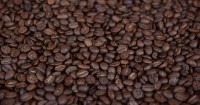Nicaragua coffee exports to China