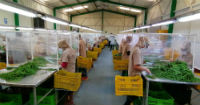 Increase access to financing for small and medium-sized enterprises 