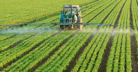 Guatemala, home of agriculture's top global tour