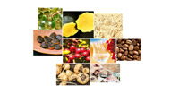 Indecopi presents the first book of recipes of Peruvian products with PDO