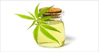 Legalization of marijuana for medicinal purposes