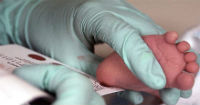 Ferraiuoli obtains patent for incubator