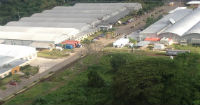 Nicaragua grows steadily through free trade zones