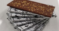 Nicaragua, multi-medalist in International Chocolate Awards