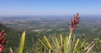 Paraguay follows WIPO directions on GI’s and AO’s