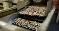 The Caribbean, a market with a lot of potential for Nicaraguan products
