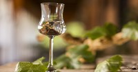 Peru protects Pisco AO in e-commerce platforms 