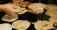 Marketing, financial and promotional plan for the pupusa