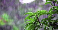 Debt swap agreement to direct $20 million for environment protection